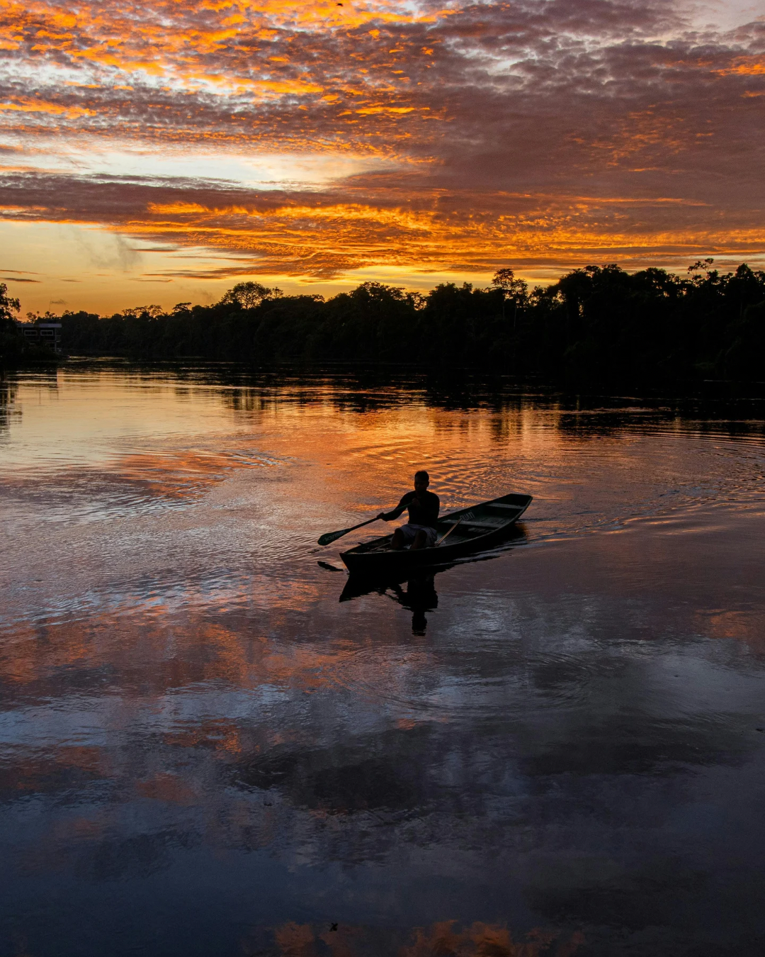 Asia & Amazonia